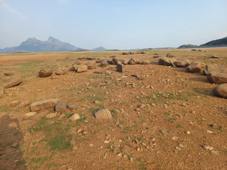 Stone circle with cist