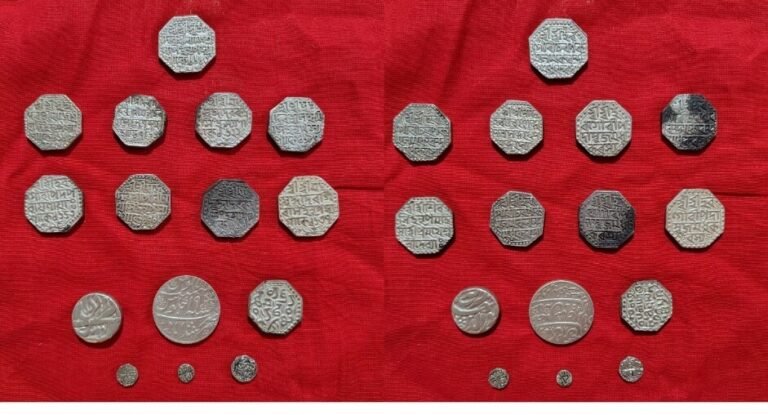 Ahom coins
