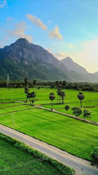 Palakkad, Kerala