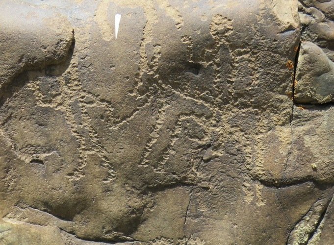 Horse rider with a guide holding the reins, spiti rock art