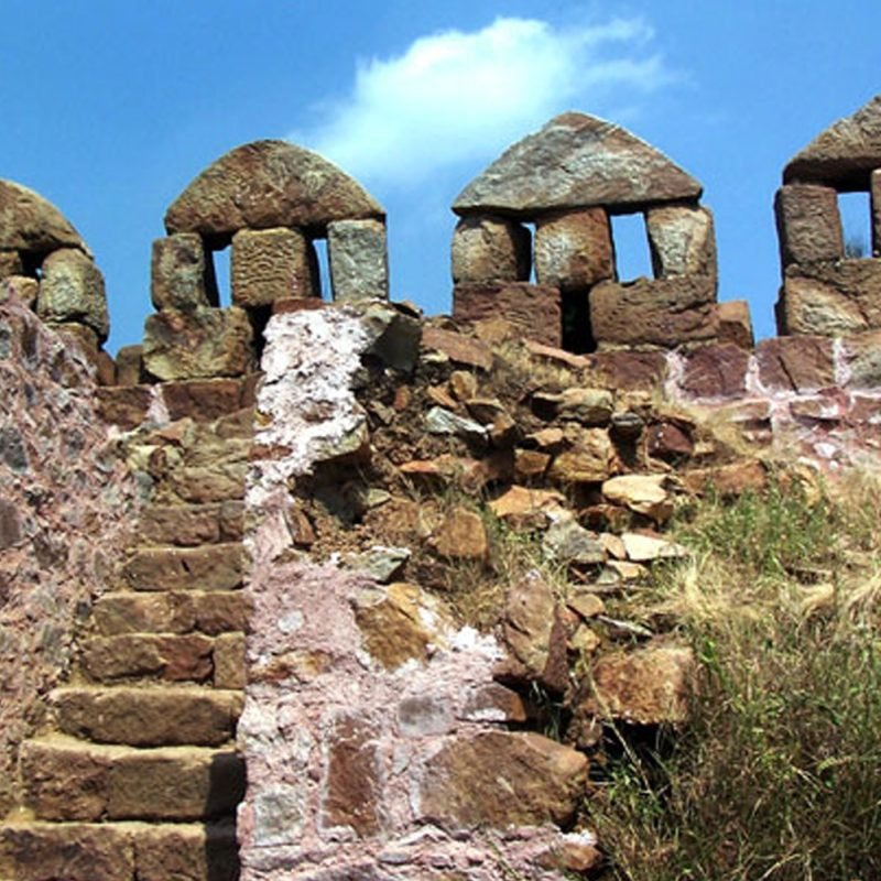 Lal Kot and Qila Rai Pithora